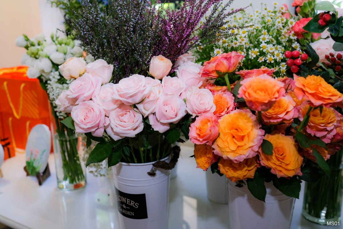 Lưu nháp tự động Lưu nháp tự động